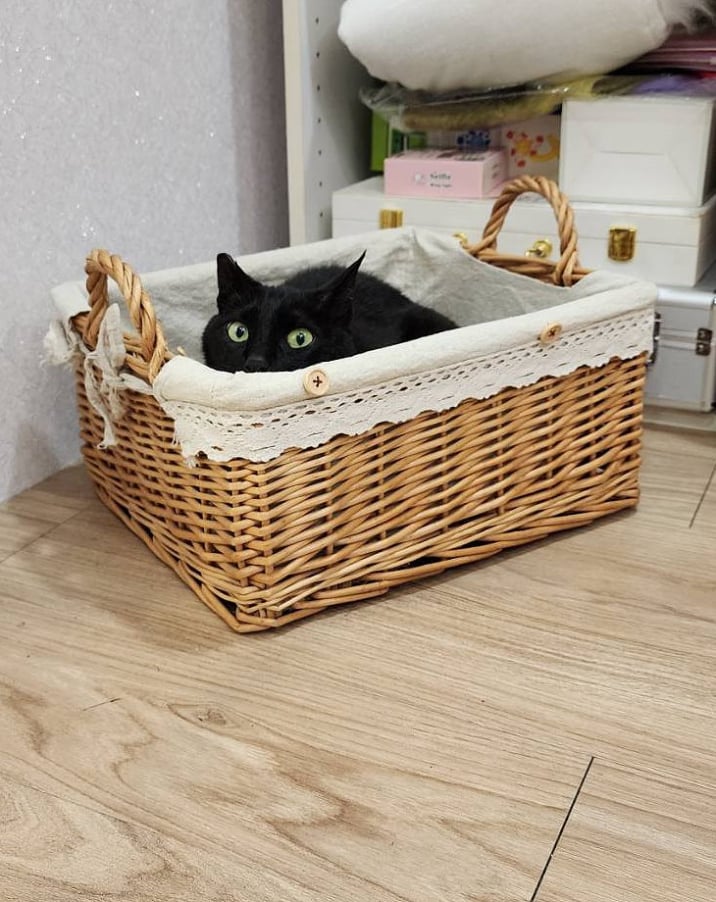 妹妹副店長
